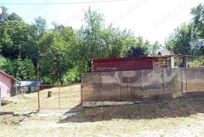 Casă cu Teren 1439 Mp în Anina - 3