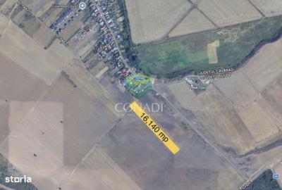 Teren de 16140 mp, în Cernica