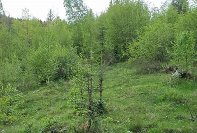 Teren de 6044 mp, în Călățele - 3