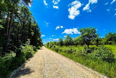 Teren intravilan Cotmeana Arges - 6