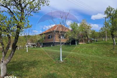 Casă cu 4 camere cu Teren 11769 Mp în Bulz - 2