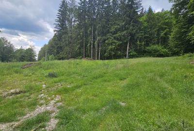 REL4001144 Teren de vanzare in Valea Doftanei - 5