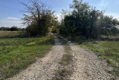 Teren de 3700 mp, în Nejlovelu - 4