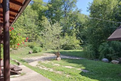 Casă cu 6 camere cu Teren 2267 Mp în Iedera de Sus - 11