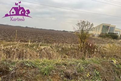 Teren de 5620 mp, în Nojorid - 2
