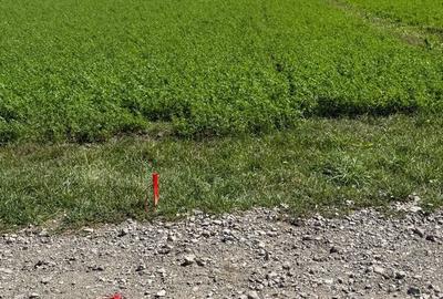 Spațiu comercial, în Drumul Carului - 1