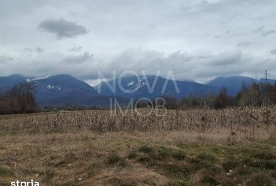 Teren de 2100 mp, în Central - 3
