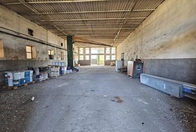 Spatiu industrial Mun. Calafat, Jud. Dolj  teren + constructii 9692mp+2931mp - 8