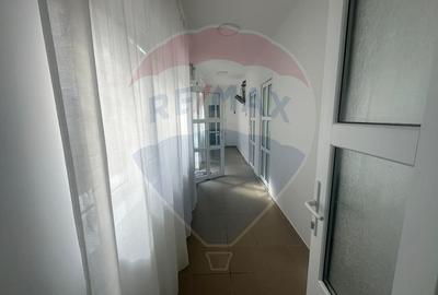 Inchiriere casa in zona Theodor Pallady - 2