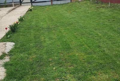 Casă cu Teren 1600 Mp în Burla - 8