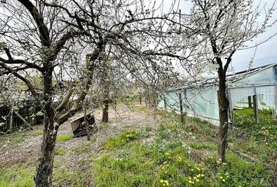 Casă cu Teren 2470 Mp în Mârțești - 2