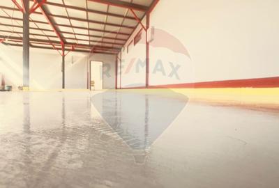 DE INCHIRIAT Spatiu comercial de 120-480 mp in zona Bucurestii Noi - 12