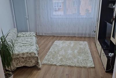 Apartament cu 3 camere decomandat în Banat - 18