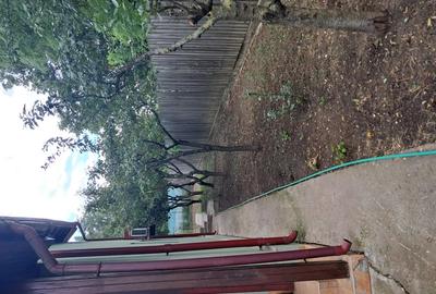 Casa de vanzare P+1 in Otopeni Zona centrala - 4