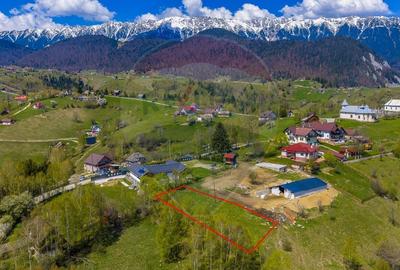 Teren Construcții intravilan de 1000 mp, în Peștera - 14
