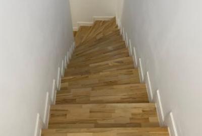 Vila Noua 2025 – Colentina Andronache 2024, 165mp. D+P+1, Parcare - 5