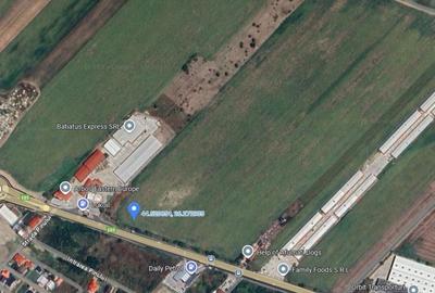 TEREN INTRAVILAN 30.000 MP ZONA AFUMATI CEL MAI MIC PRET 70 EURO/MP - 2