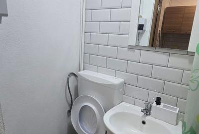Garsonieră semidecomandată în Roșu - 8