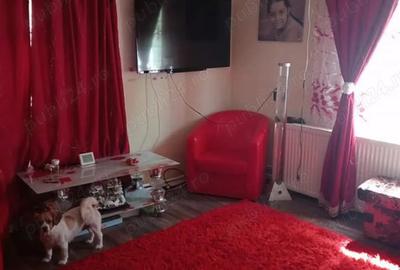 Casa de vanzare oportunitate unica - 1