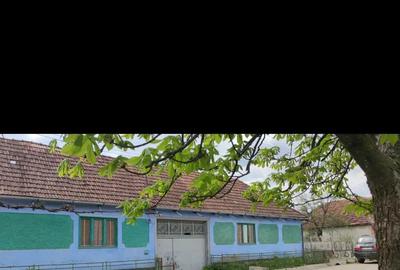 Casă cu 5 camere cu Teren 3313 Mp în Hodiș - 3