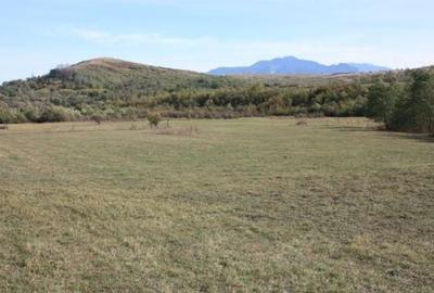 Spațiu comercial, în Drumul Carului - 7