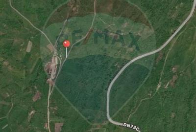 Teren extravilan ieftin 13,500 mp Berevoesti, Arges - 3