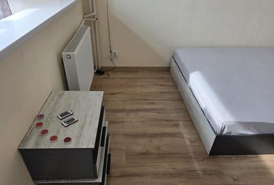 Apartament cu 2 camere decomandat, mobilat în Tineretului - 5