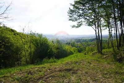 Teren 15,000mp Sighetu Marmatiei / Strada Mocani?ei - 7