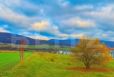 Teren de vanzare 76 ari, front 11,5 m, la drumul european - 1