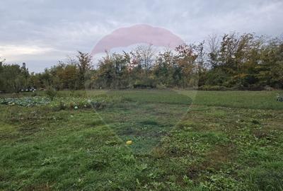 DE VANZARE Teren 25,000mp Ploiesti /  Centura de Vest - 12