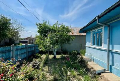 Casa de vanzare cu acces la Bra?ul Borcea, Bordu?ani - 6