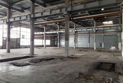 Spațiu comercial, de 20,000 mp, în Timișoara - 13