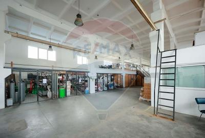 Spațiu industrial, de 1,249.0799560547 mp, în Exterior Vest - 10