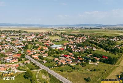 Spațiu comercial, în Catalina - 6