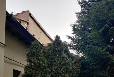 Teren Construcții intravilan de 684 mp, în Viilor - 1