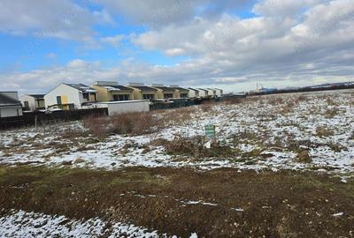 Vand 1HA teren intrav ptr case zona Balcescu langa cartierul RIVIERA, utilitati, sosea - 6