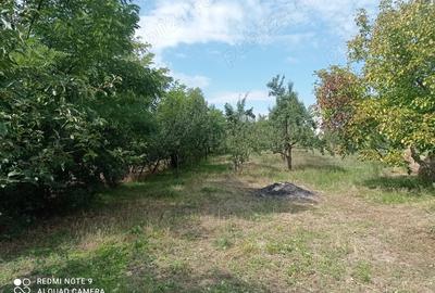 Vand casa in Ungaria - 4