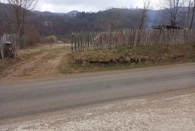 Teren de 2800 mp, în Dofteana - 2