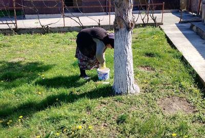 Casă cu 5 camere în Central - 8