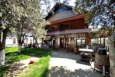 Teren Construcții intravilan de 45000 mp, în Brădești - 5