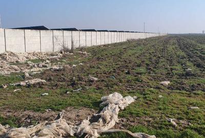 Spațiu comercial, în Sălcuța - 4