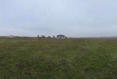 Teren de 967 mp, în Livezile - 4