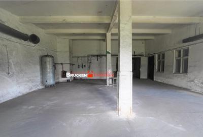 OPORTUNITATE INVESTITIONALA | HALA VASCAU - 6