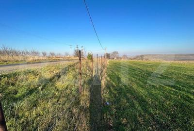 Teren de 13000 mp, în Central - 2