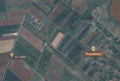 Teren intravilan de 640 mp, în Miroslava