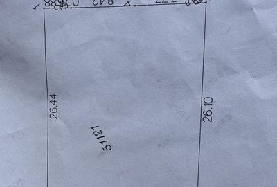 Spațiu comercial, în Lisaura