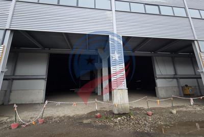 Spațiu industrial, de 4,300 mp, în Vidrasău - 3