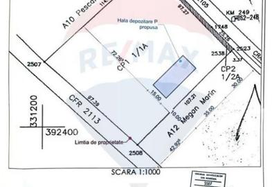 Teren de 10763 mp, în Brădești - 2