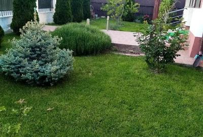 Casă cu Teren 1989 Mp în Ciritei - 7