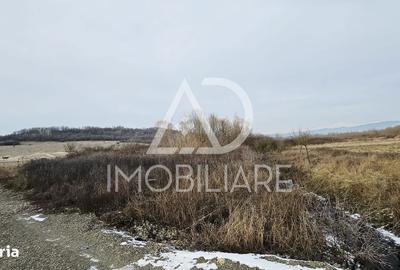 Spațiu comercial, în Turcinești - 2